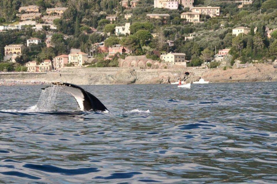 Casa Vacanza Angela Villa Bonassola Luaran gambar